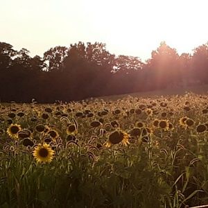 Meet your Posher, Terri